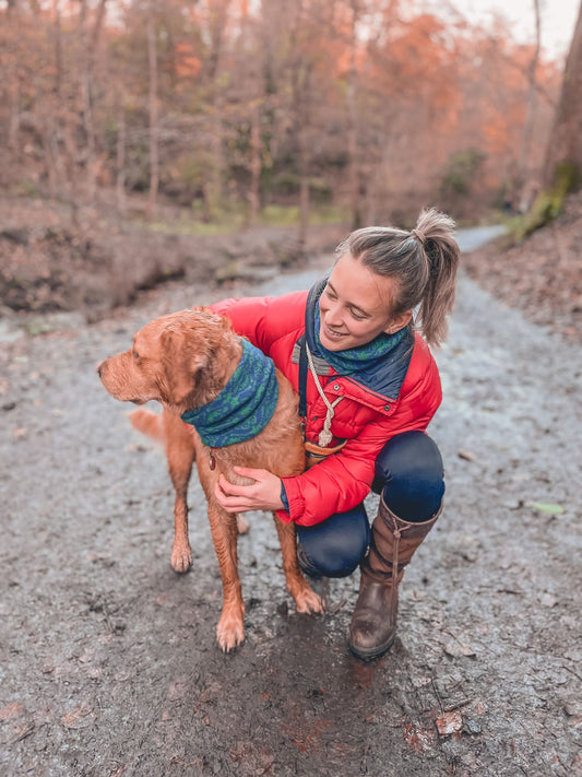 5 tips for staying safe with your dog this winter