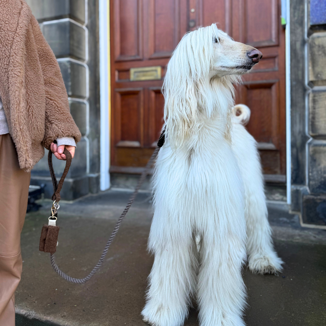 Bran - Debonair Collection - Poo Bag Holder