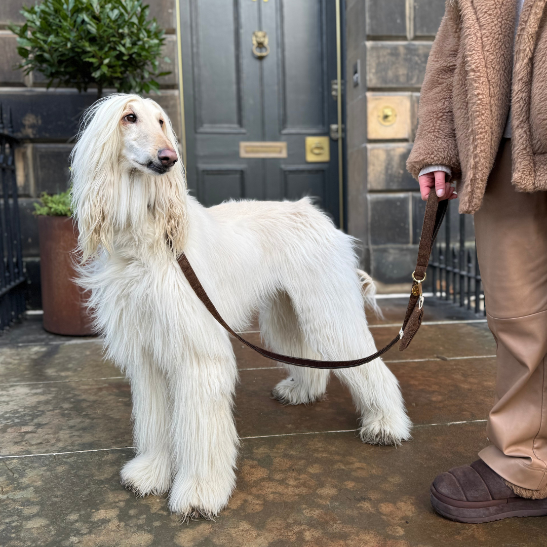 Bran - Debonair Collection - Poo Bag Holder