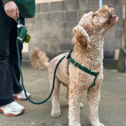 Geranium & Dove - Harris Design - Luxury Dog Harness – Stocky & Dee