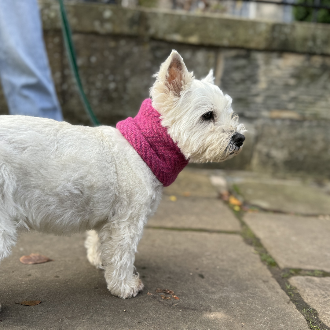 Cerise - AW24 Collection - Dog Snood