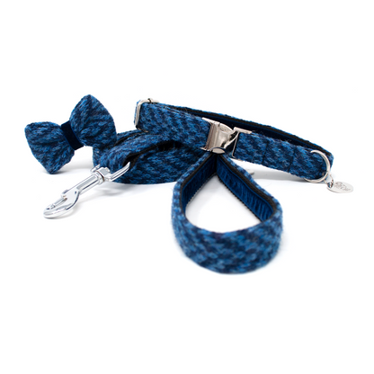 Cobalt - AW24 - Collar, Lead & Bow Tie Bundle