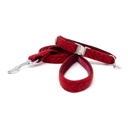 Poppy - AW24 Collection - Luxury Dog Collar