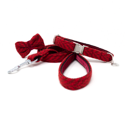 Poppy - AW24 - Collar, Lead & Bow Tie Bundle