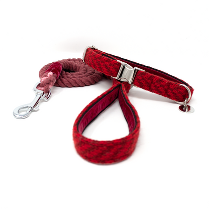 Poppy - AW24 Collection - Luxury Dog Collar