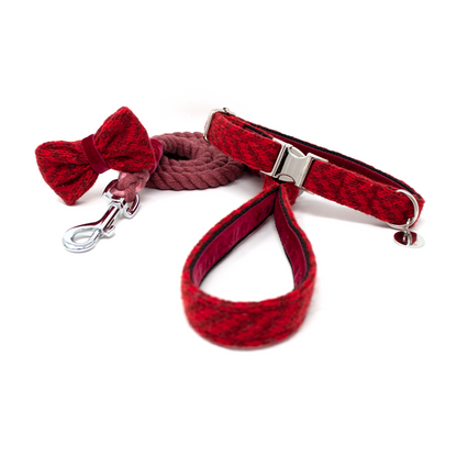 Poppy - AW24 - Collar, Lead & Bow Tie Bundle