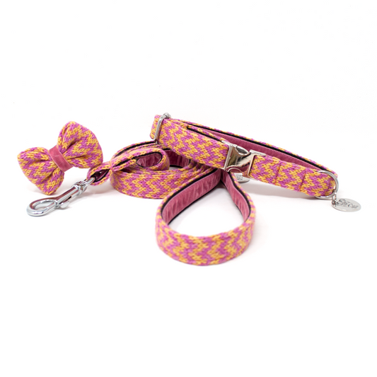 Peachy Punch - Bonbon Collection - Collar, Lead & Bow Tie Bundle