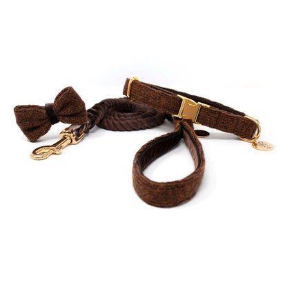 Bran - Debonair Collection - Luxury Dog Collar