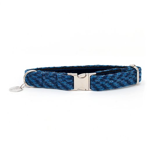 Cobalt - AW24 Collection - Luxury Dog Collar