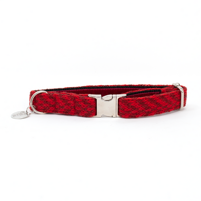 Poppy - AW24 Collection - Luxury Dog Collar