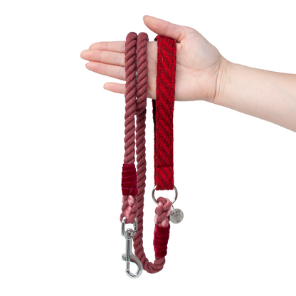 Poppy - AW24 Collection - Rope Dog Lead