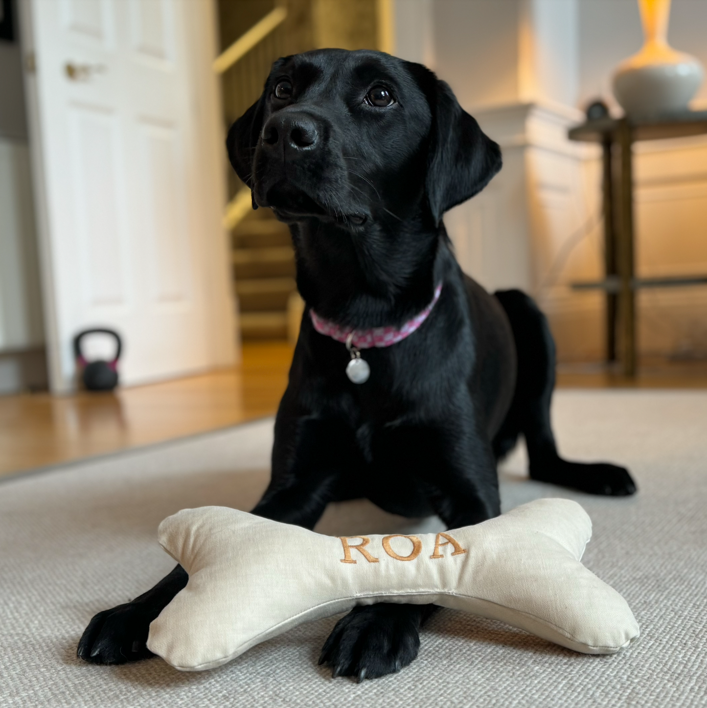 Personalised Waxed Cotton Dog Bone Toy - Ecru
