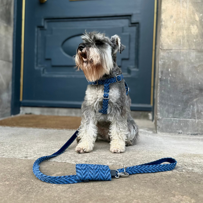 Cobalt - AW24 Collection - Luxury Dog Lead