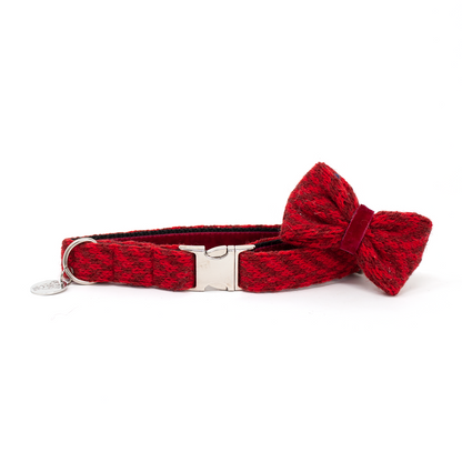 Poppy - AW24 Collection - Luxury Dog Collar