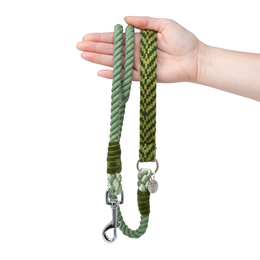 Lime - AW24 Collection - Rope Dog Lead