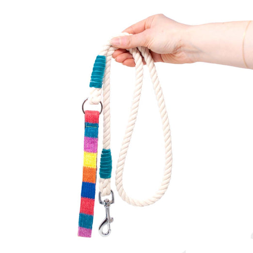 Charity Rainbow Collection - Luxury Rope Dog Lead